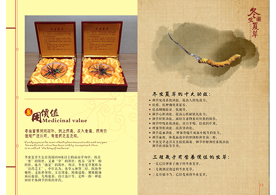 &#20048;&#40060;&#25163;&#26426;&#31449;&#20837;&#21475;&#45;&#20048;&#40060;&#111;&#110;&#108;&#105;&#110;&#101;&#40;&#20013;&#22269;&#41;