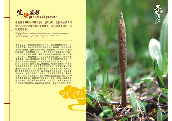 &#20048;&#40060;&#25163;&#26426;&#31449;&#20837;&#21475;&#45;&#20048;&#40060;&#111;&#110;&#108;&#105;&#110;&#101;&#40;&#20013;&#22269;&#41;