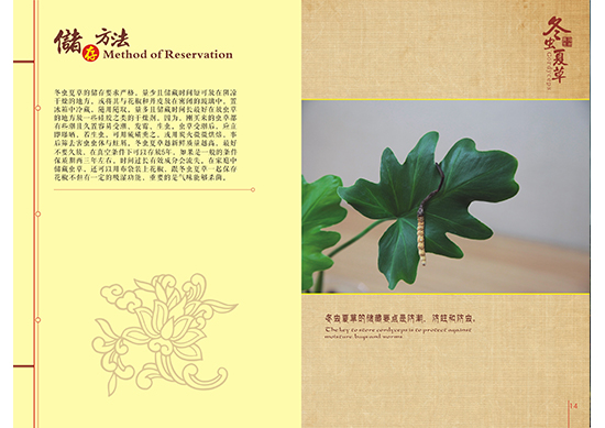 &#20048;&#40060;&#25163;&#26426;&#31449;&#20837;&#21475;&#45;&#20048;&#40060;&#111;&#110;&#108;&#105;&#110;&#101;&#40;&#20013;&#22269;&#41;
